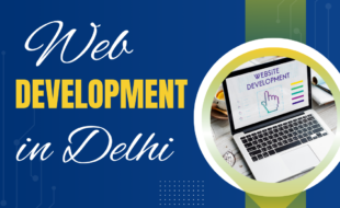 website development company in Delhi website development company in Delhi